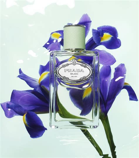 infusion d'iris de prada|Prada infusion d'iris 100ml.